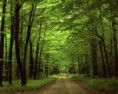 /album/fotogaleria/a2-jpg/