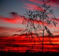 /album/fotogaleria/a4-jpg/